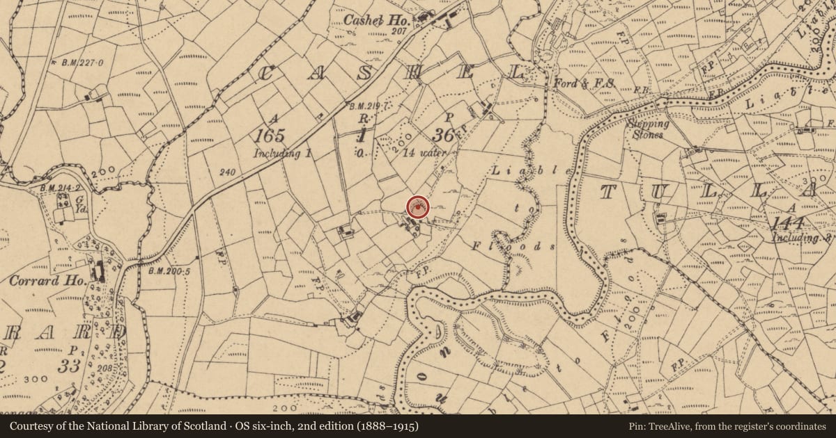 Ordnance Survey six-inch map, 2nd edition (1888–1915) covering the location of Ringfort - cashel, County Cavan, with a pin at the register's coordinates