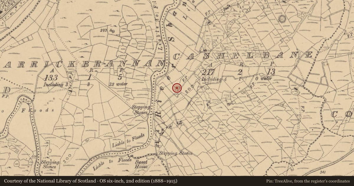 Ordnance Survey six-inch map, 2nd edition (1888–1915) covering the location of Ringfort - cashel, Cashelbane, County Cavan, with a pin at the register's coordinates