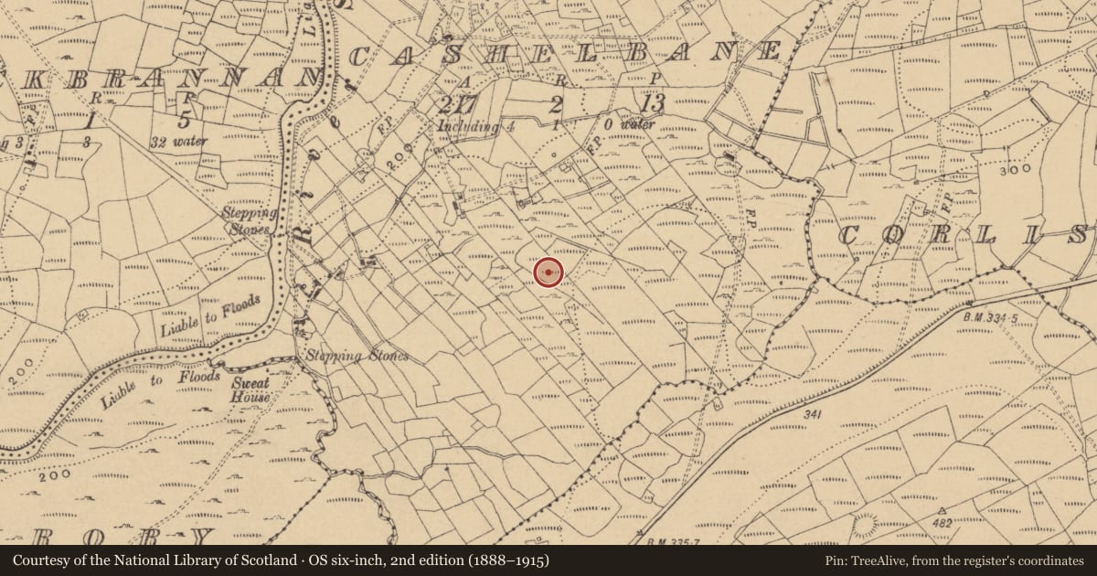 Ordnance Survey six-inch map, 2nd edition (1888–1915) covering the location of Field system, Cashelbane, County Cavan, with a pin at the register's coordinates