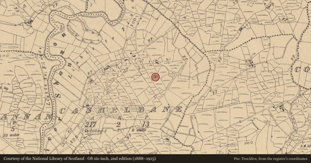 Ordnance Survey six-inch map, 2nd edition (1888–1915) covering the location of Ringfort - cashel, Cashelbane, County Cavan, with a pin at the register's coordinates
