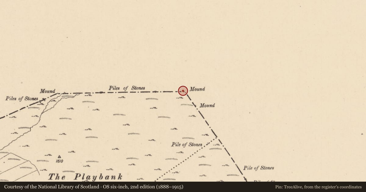 Ordnance Survey six-inch map, 2nd edition (1888–1915) covering the location of Boundary mound, Coppanaghmore, Tullantintin, County Cavan, with a pin at the register's coordinates