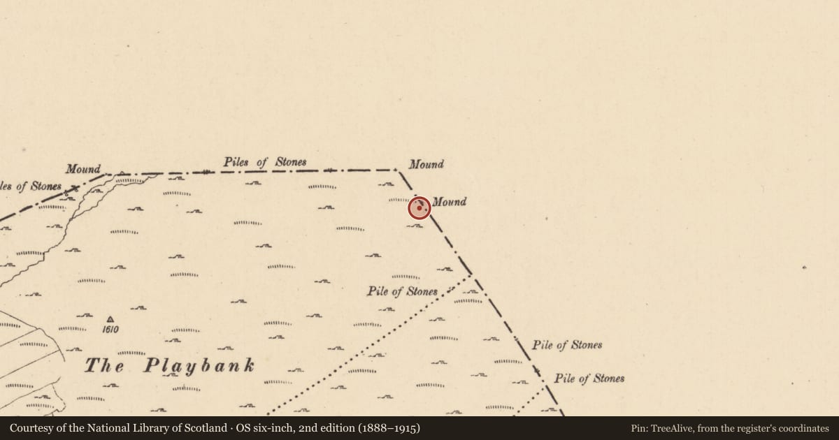 Ordnance Survey six-inch map, 2nd edition (1888–1915) covering the location of Boundary mound, Coppanaghmore, County Cavan, with a pin at the register's coordinates