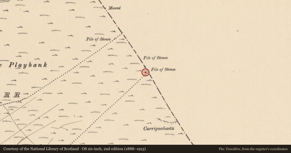 Ordnance Survey six-inch map, 2nd edition (1888–1915) covering the location of Cairn - boundary cairn, Coppanaghmore, County Cavan, with a pin at the register's coordinates