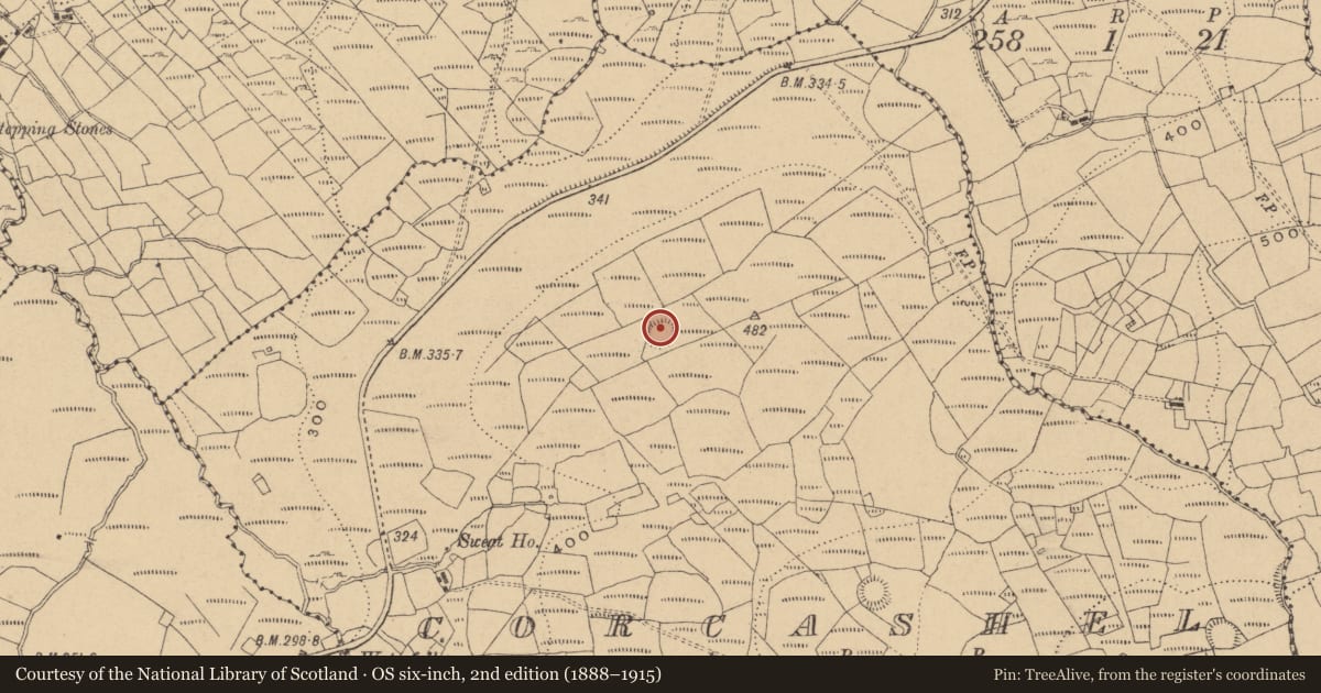 Ordnance Survey six-inch map, 2nd edition (1888–1915) covering the location of Ringfort - rath, Corcashel, County Cavan, with a pin at the register's coordinates
