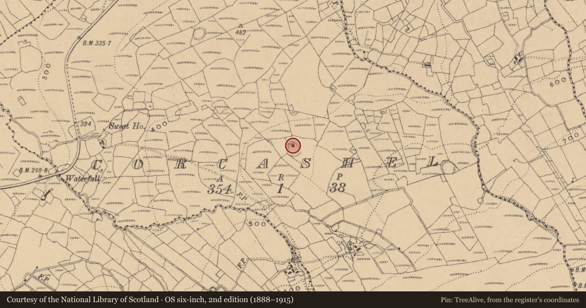 Ordnance Survey six-inch map, 2nd edition (1888–1915) covering the location of Ringfort - rath, Corcashel, County Cavan, with a pin at the register's coordinates