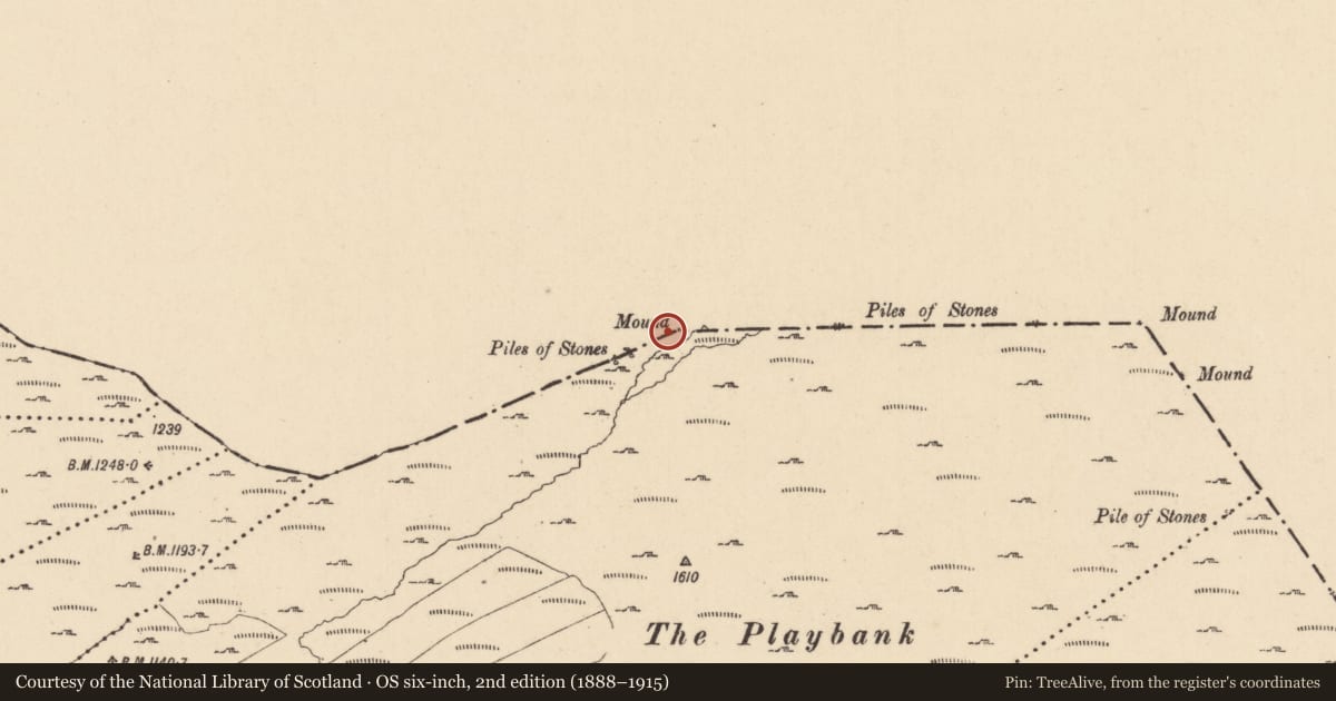 Ordnance Survey six-inch map, 2nd edition (1888–1915) covering the location of Boundary mound, Corcashel, Sruhanagh, County Cavan, with a pin at the register's coordinates