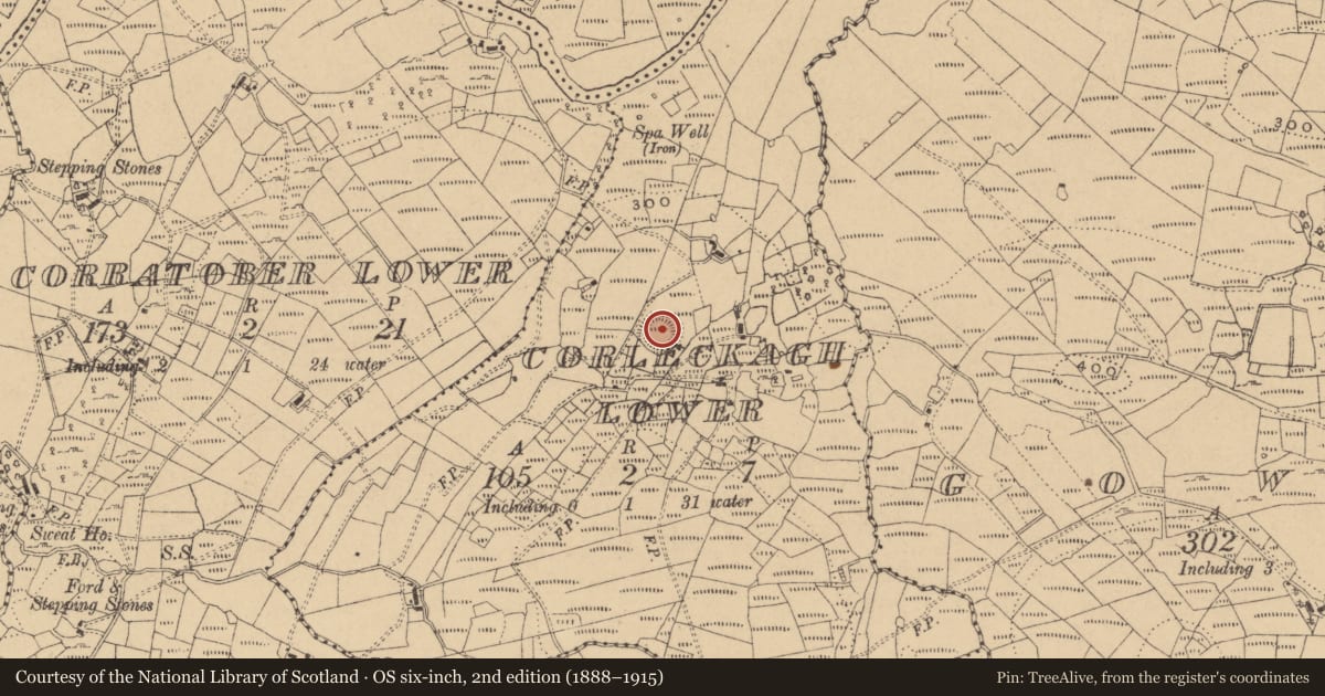 Ordnance Survey six-inch map, 2nd edition (1888–1915) covering the location of Ringfort - rath, Corleckagh Lower, County Cavan, with a pin at the register's coordinates