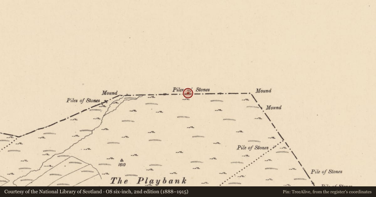 Ordnance Survey six-inch map, 2nd edition (1888–1915) covering the location of Cairn - boundary cairn, Corleckagh Upper, Moneenterriff, County Cavan, with a pin at the register's coordinates