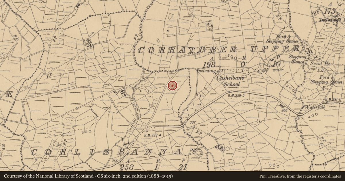 Ordnance Survey six-inch map, 2nd edition (1888–1915) covering the location of Ringfort - rath, Corlisbannan, County Cavan, with a pin at the register's coordinates