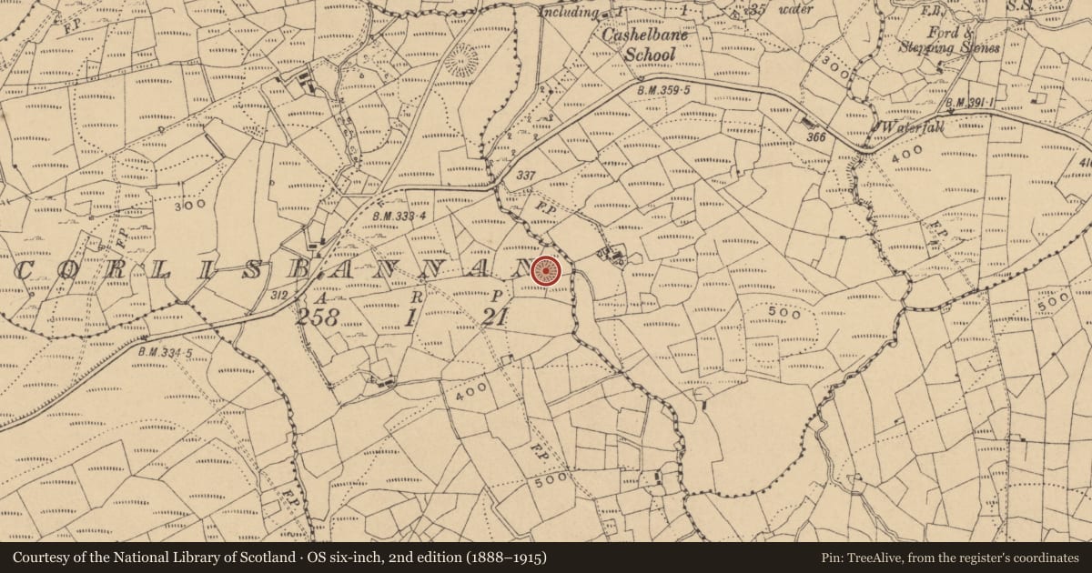 Ordnance Survey six-inch map, 2nd edition (1888–1915) covering the location of Ringfort - rath, Corlisbannan, County Cavan, with a pin at the register's coordinates