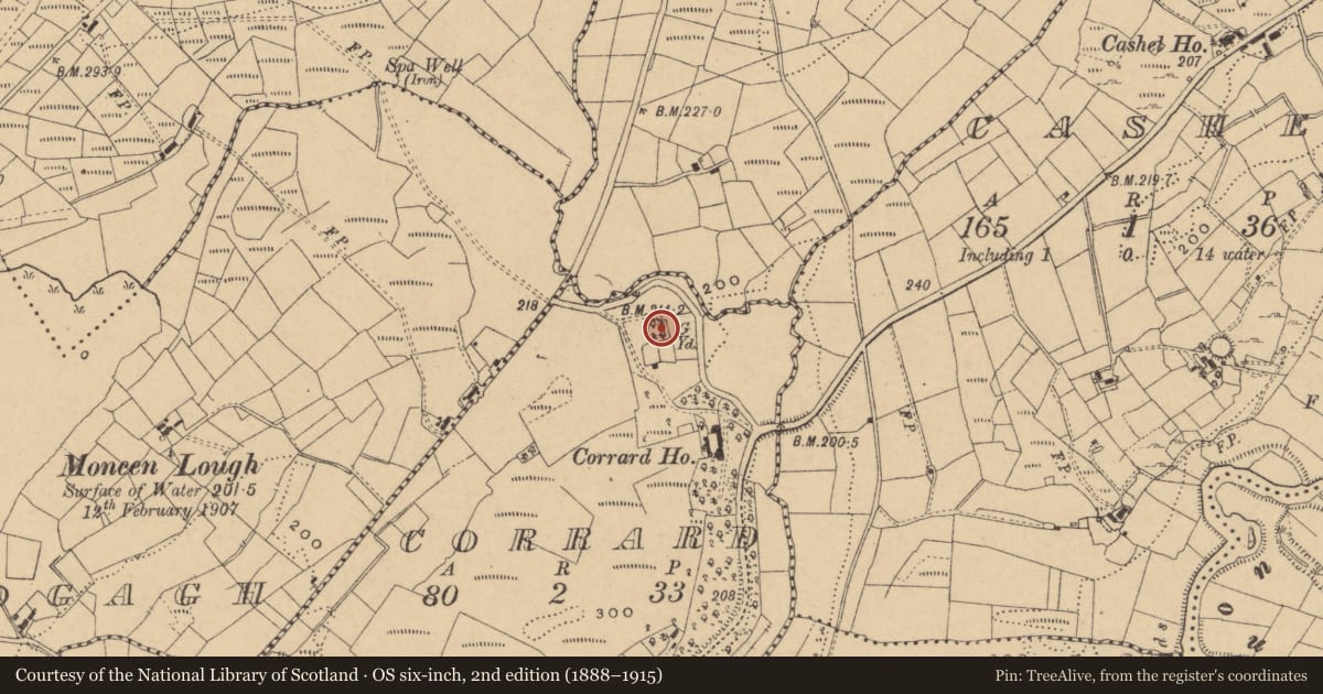 Ordnance Survey six-inch map, 2nd edition (1888–1915) covering the location of Graveyard, Corrard, County Cavan, with a pin at the register's coordinates