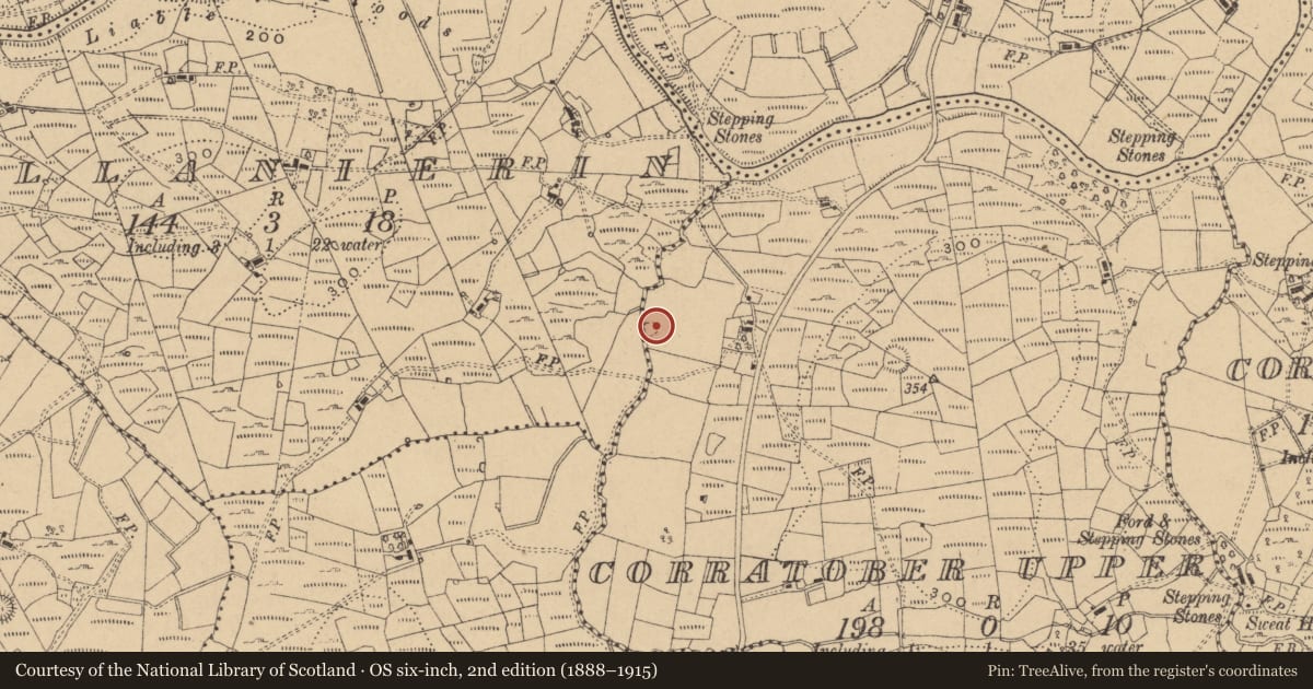 Ordnance Survey six-inch map, 2nd edition (1888–1915) covering the location of Fulacht fia, Corratober Upper, County Cavan, with a pin at the register's coordinates