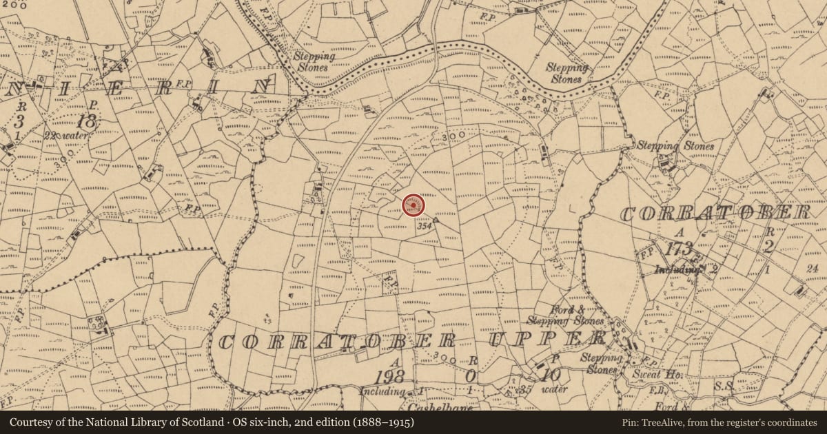 Ordnance Survey six-inch map, 2nd edition (1888–1915) covering the location of Ringfort - rath, Corratober Upper, County Cavan, with a pin at the register's coordinates