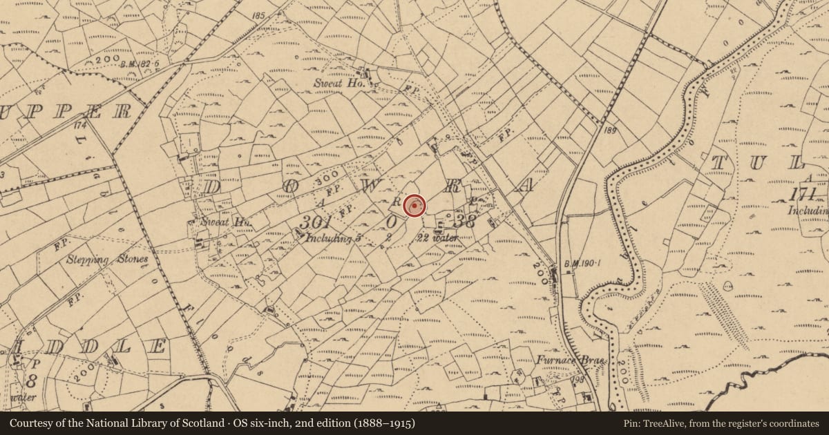 Ordnance Survey six-inch map, 2nd edition (1888–1915) covering the location of Ringfort - cashel, Dowra, County Cavan, with a pin at the register's coordinates