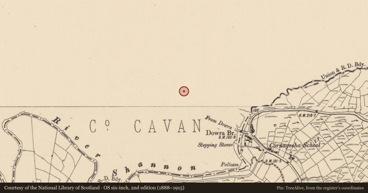 Ordnance Survey six-inch map, 2nd edition (1888–1915) covering the location of Ringfort - cashel, Dowra, County Cavan, with a pin at the register's coordinates