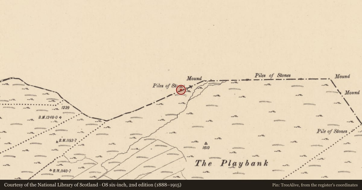 Ordnance Survey six-inch map, 2nd edition (1888–1915) covering the location of Cairn - boundary cairn, Garvesk, Sruhanagh, County Cavan, with a pin at the register's coordinates