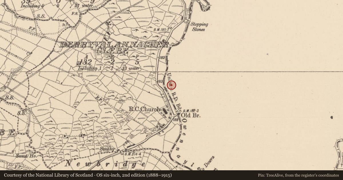 Ordnance Survey six-inch map, 2nd edition (1888–1915) covering the location of Ringfort - unclassified, Kilduff Lower, County Cavan, with a pin at the register's coordinates