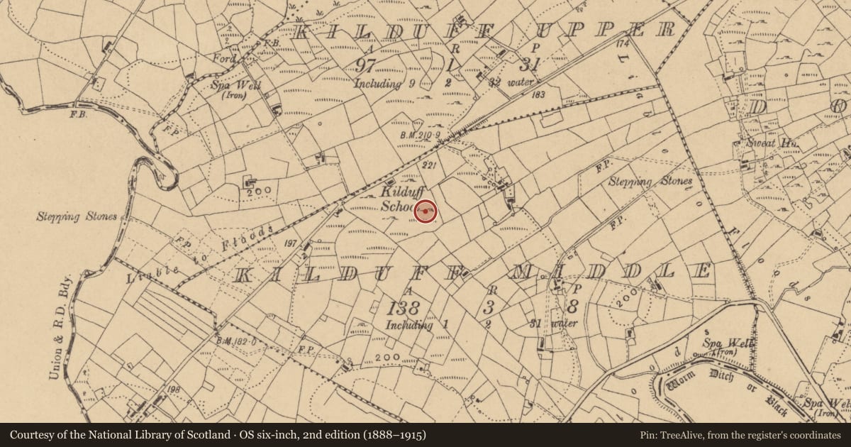 Ordnance Survey six-inch map, 2nd edition (1888–1915) covering the location of Ringfort - rath, Kilduff Middle, County Cavan, with a pin at the register's coordinates