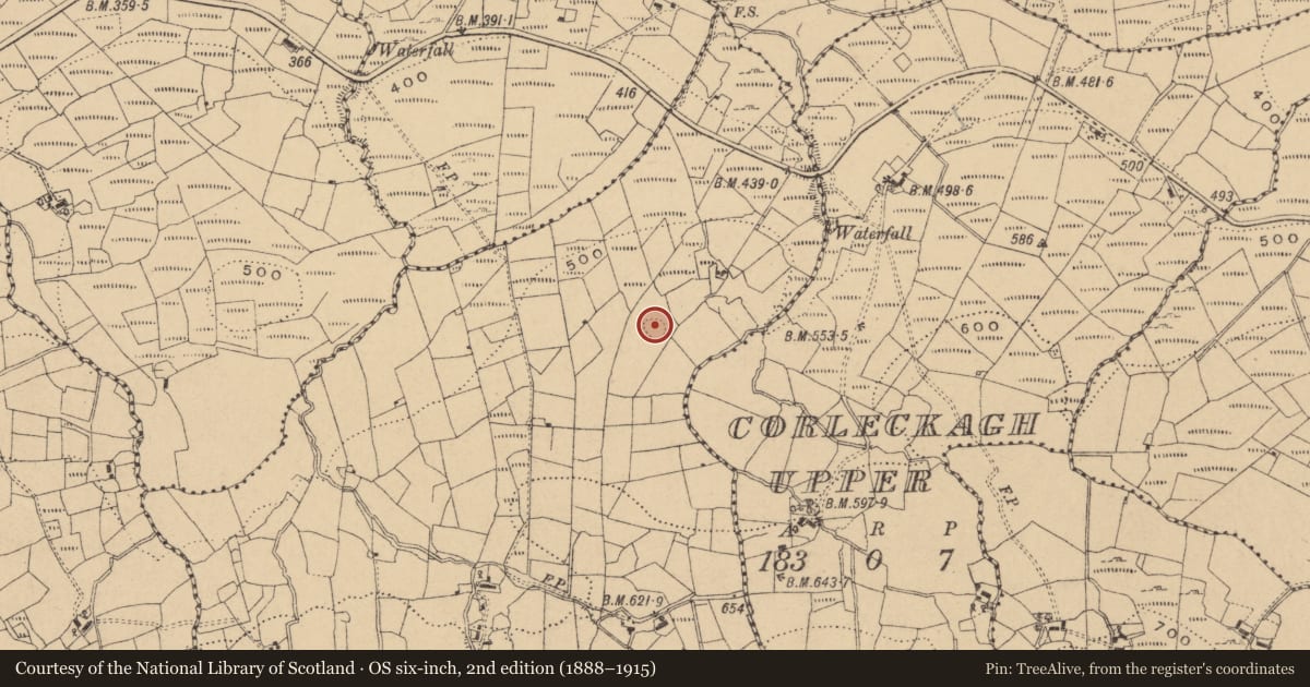 Ordnance Survey six-inch map, 2nd edition (1888–1915) covering the location of Ringfort - rath, Moneenterriff, County Cavan, with a pin at the register's coordinates