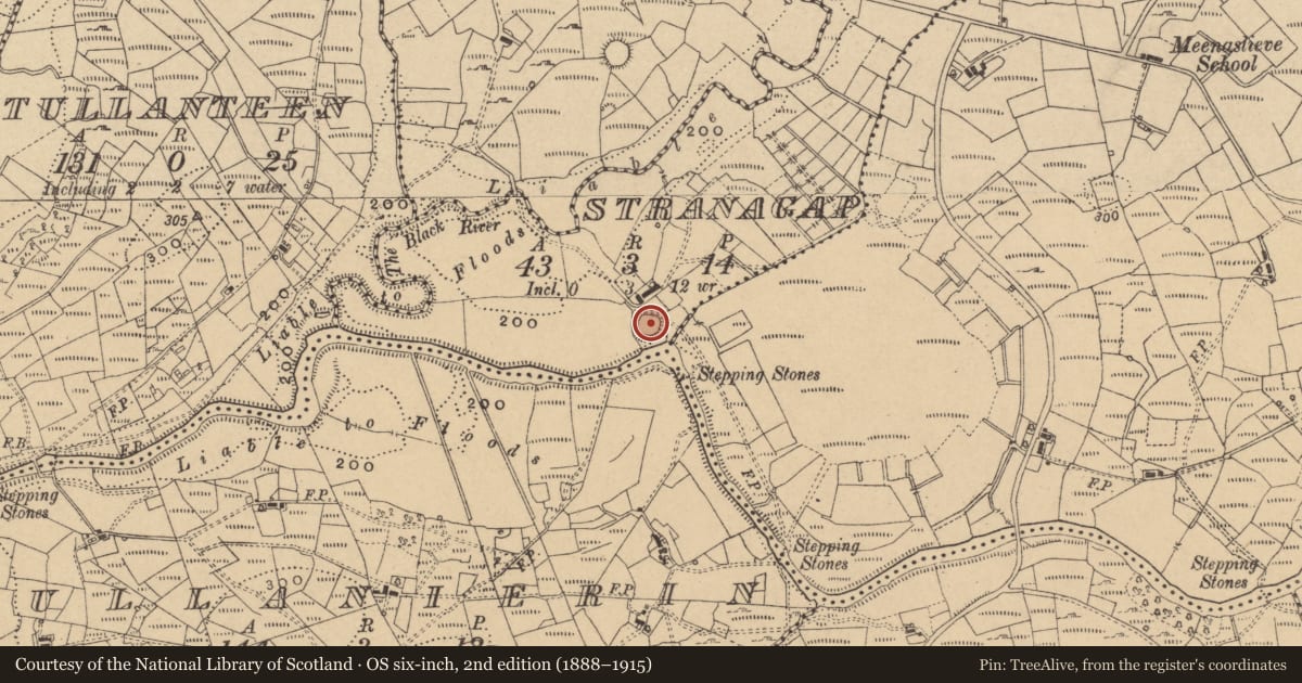 Ordnance Survey six-inch map, 2nd edition (1888–1915) covering the location of Ringfort - rath, Stranagap, County Cavan, with a pin at the register's coordinates