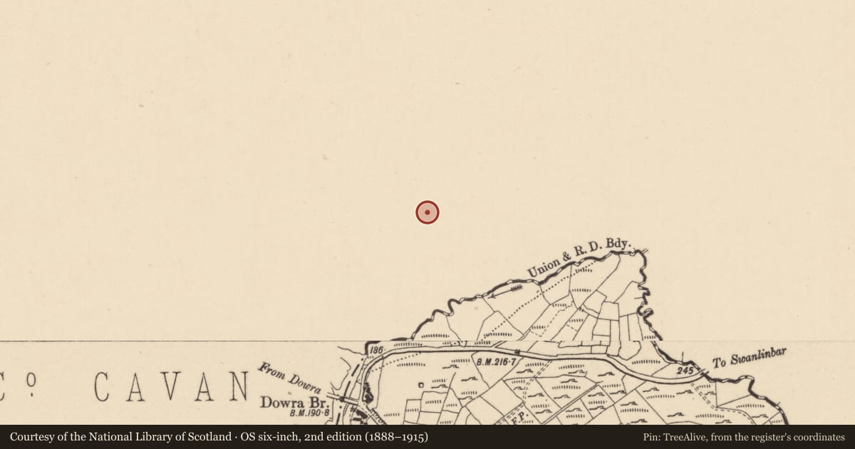 Ordnance Survey six-inch map, 2nd edition (1888–1915) covering the location of Burial ground, Tullaghyrory, County Cavan, with a pin at the register's coordinates