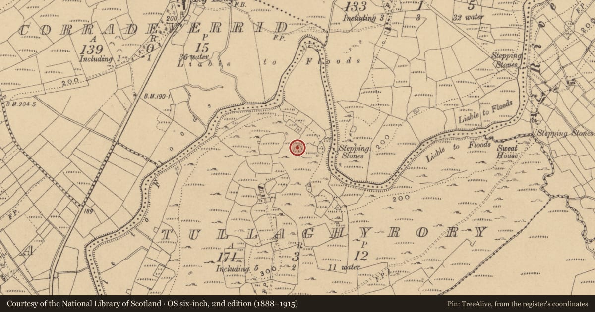 Ordnance Survey six-inch map, 2nd edition (1888–1915) covering the location of Ringfort - cashel, Tullaghyrory, County Cavan, with a pin at the register's coordinates