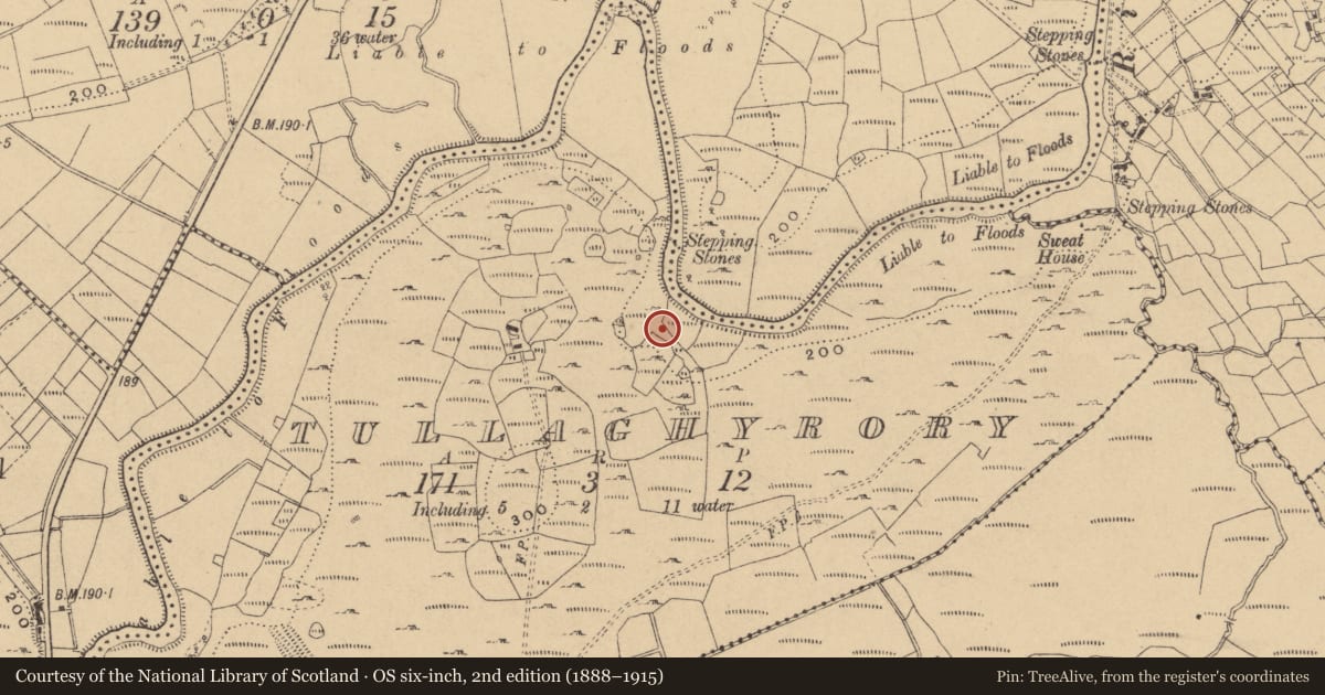 Ordnance Survey six-inch map, 2nd edition (1888–1915) covering the location of Sweathouse, Tullaghyrory, County Cavan, with a pin at the register's coordinates