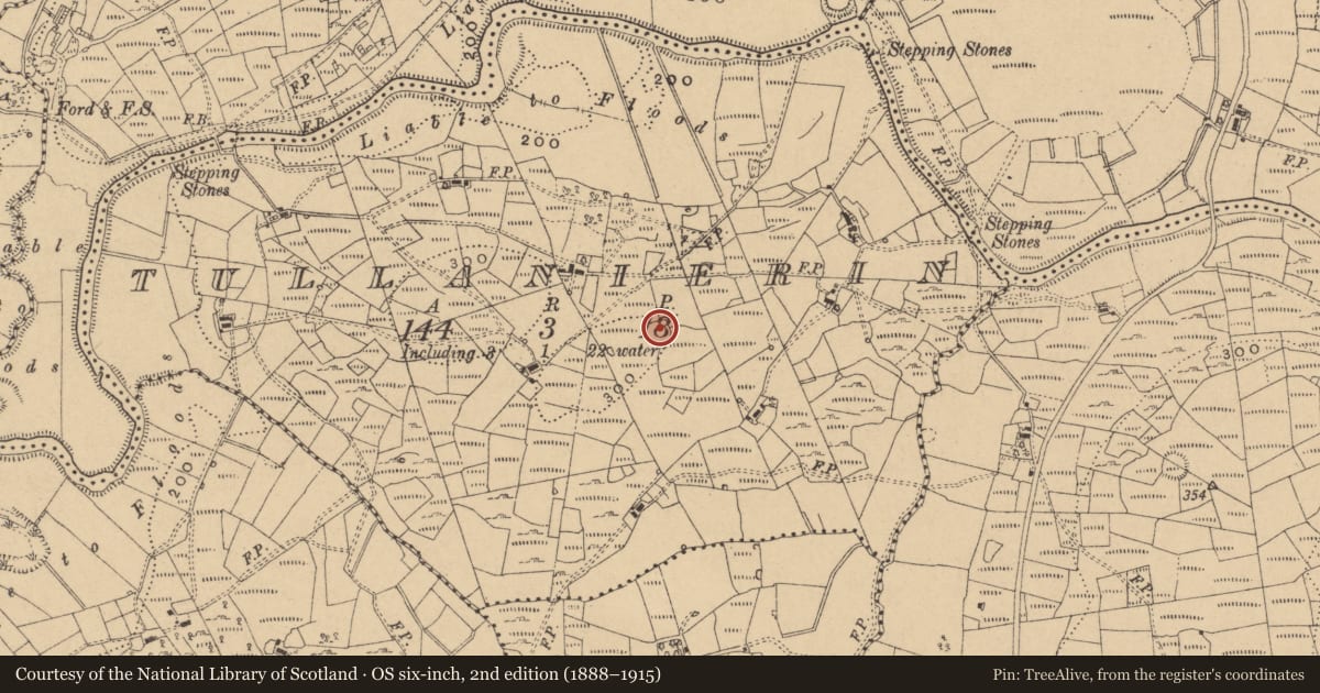Ordnance Survey six-inch map, 2nd edition (1888–1915) covering the location of Ringfort - rath, Tullanierin, County Cavan, with a pin at the register's coordinates