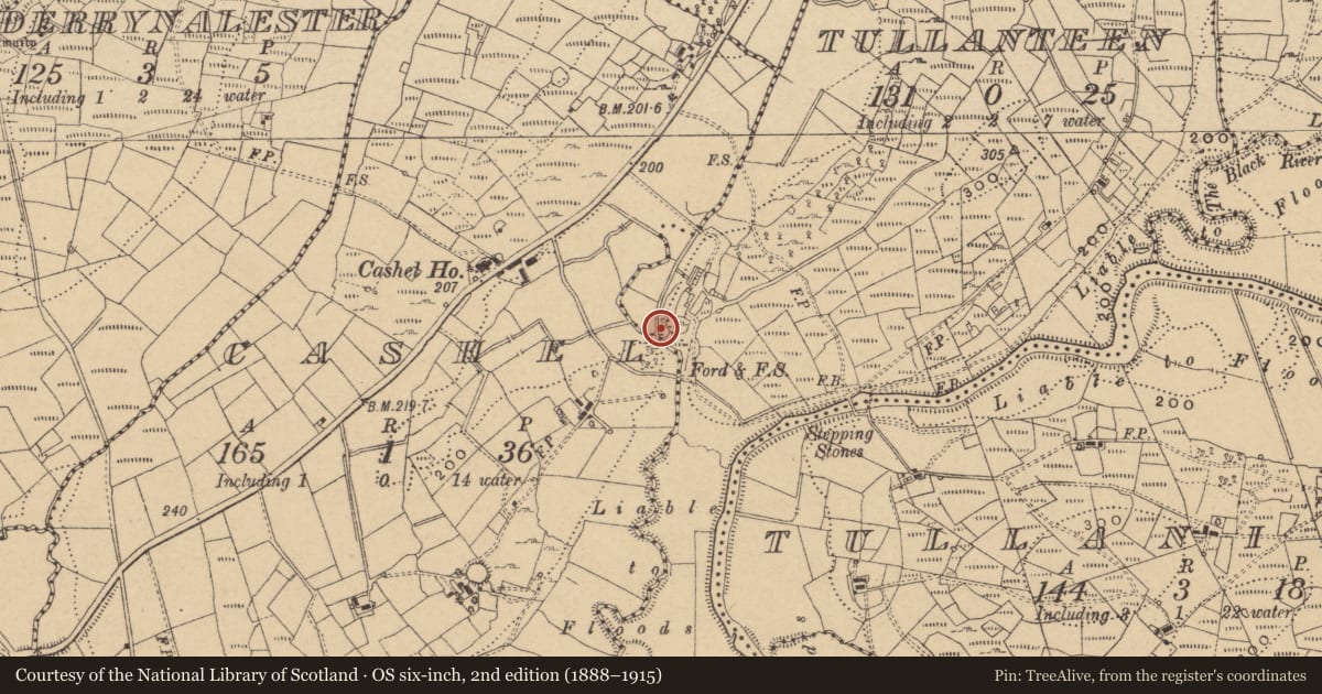 Ordnance Survey six-inch map, 2nd edition (1888–1915) covering the location of Ringfort - cashel, Tullanteen, County Cavan, with a pin at the register's coordinates