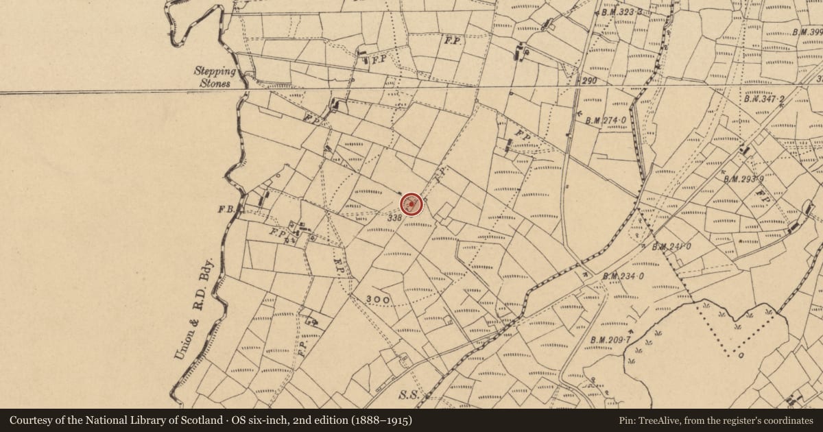 Ordnance Survey six-inch map, 2nd edition (1888–1915) covering the location of Ringfort - rath, Tullynamoyle, County Cavan, with a pin at the register's coordinates