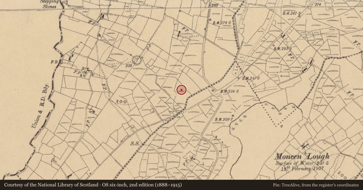 Ordnance Survey six-inch map, 2nd edition (1888–1915) covering the location of Cross-slab, Tullynamoyle, County Cavan, with a pin at the register's coordinates