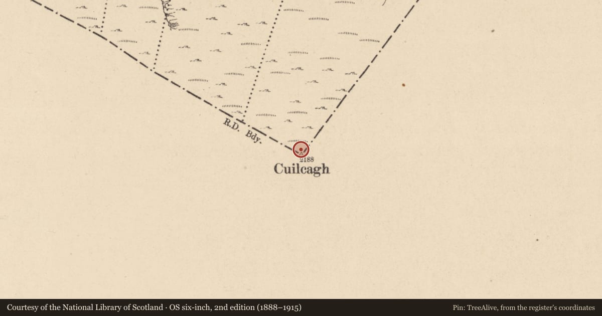 Ordnance Survey six-inch map, 2nd edition (1888–1915) covering the location of Cairn - unclassified, County Cavan, with a pin at the register's coordinates