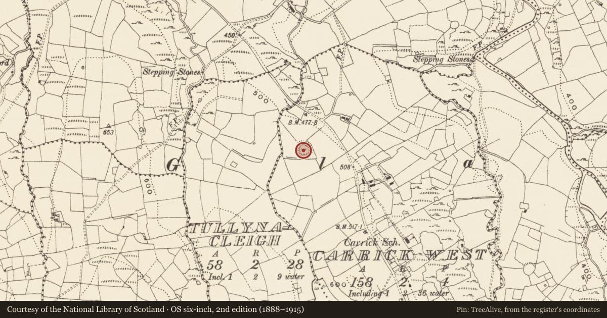Ordnance Survey six-inch map, 2nd edition (1888–1915) covering the location of Ringfort - rath, Carrick West, County Cavan, with a pin at the register's coordinates