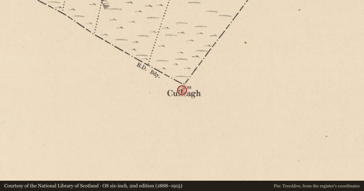 Ordnance Survey six-inch map, 2nd edition (1888–1915) covering the location of Hut site, Commas, County Cavan, with a pin at the register's coordinates