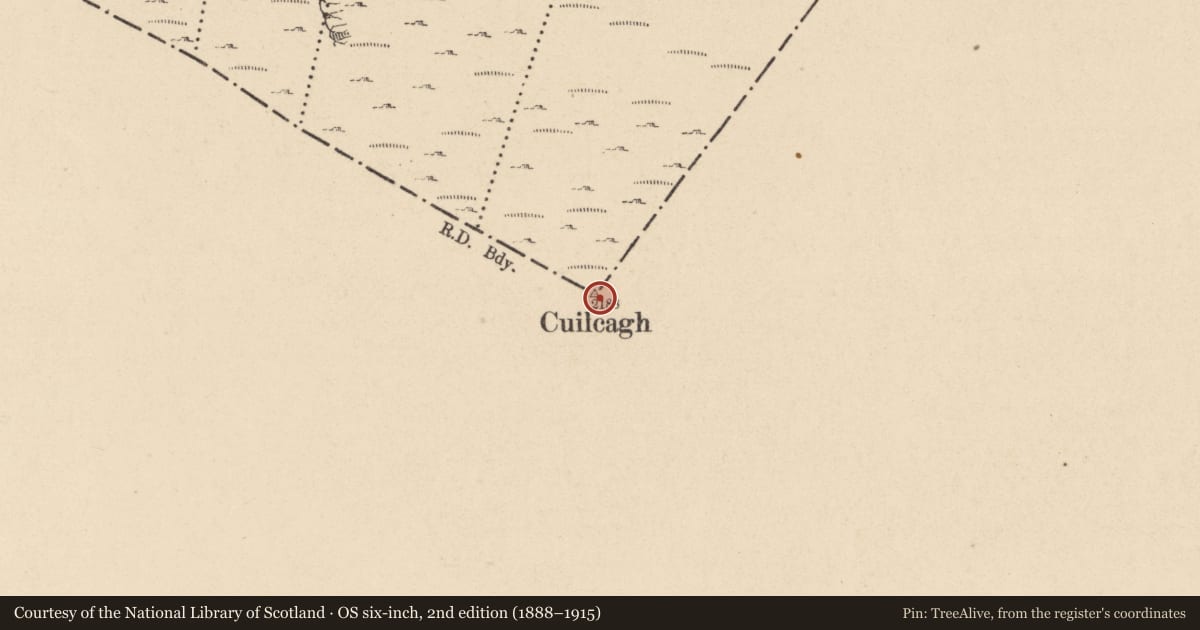 Ordnance Survey six-inch map, 2nd edition (1888–1915) covering the location of Hut site, Commas, County Cavan, with a pin at the register's coordinates