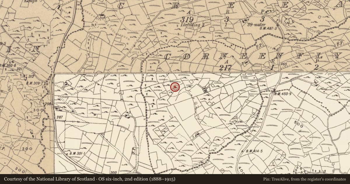 Ordnance Survey six-inch map, 2nd edition (1888–1915) covering the location of Ringfort - cashel, Corneenflynn, County Cavan, with a pin at the register's coordinates