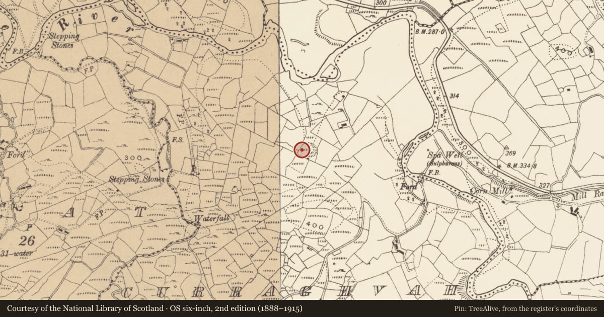 Ordnance Survey six-inch map, 2nd edition (1888–1915) covering the location of Ringfort - rath, Curraghvah, County Cavan, with a pin at the register's coordinates