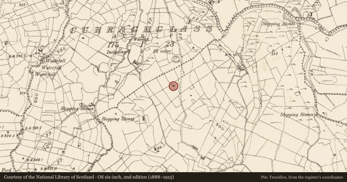 Ordnance Survey six-inch map, 2nd edition (1888–1915) covering the location of Ringfort - rath, Moneensauran, County Cavan, with a pin at the register's coordinates