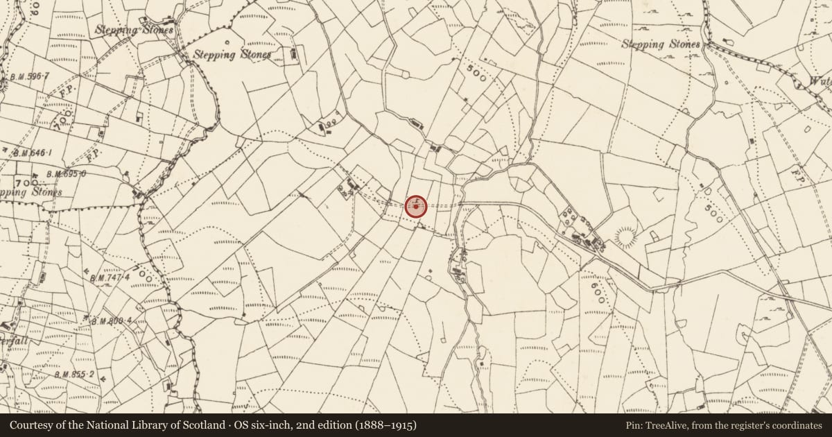 Ordnance Survey six-inch map, 2nd edition (1888–1915) covering the location of Ringfort - rath, Moneensauran, County Cavan, with a pin at the register's coordinates