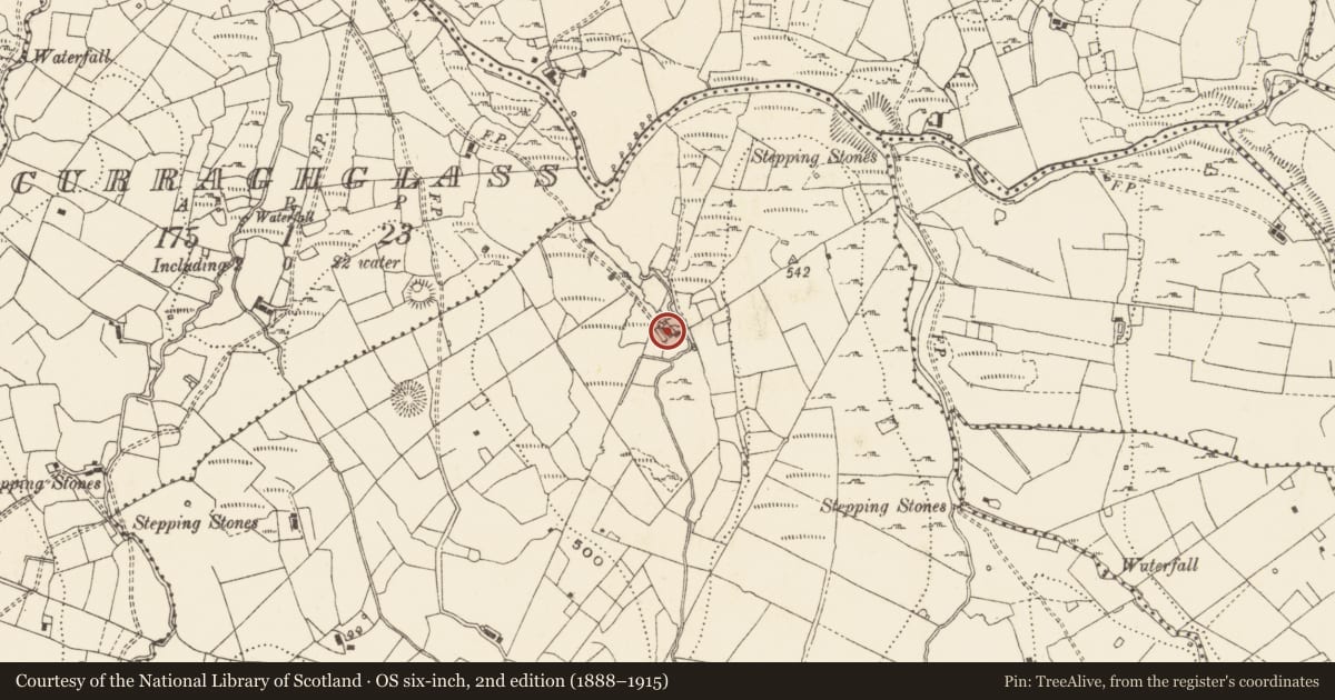 Ordnance Survey six-inch map, 2nd edition (1888–1915) covering the location of Structure, Moneensauran, County Cavan, with a pin at the register's coordinates