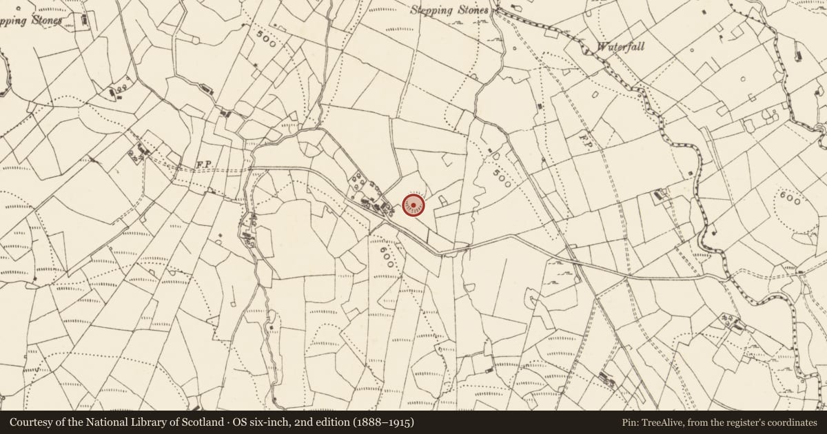 Ordnance Survey six-inch map, 2nd edition (1888–1915) covering the location of Ringfort - rath, Moneensauran, County Cavan, with a pin at the register's coordinates