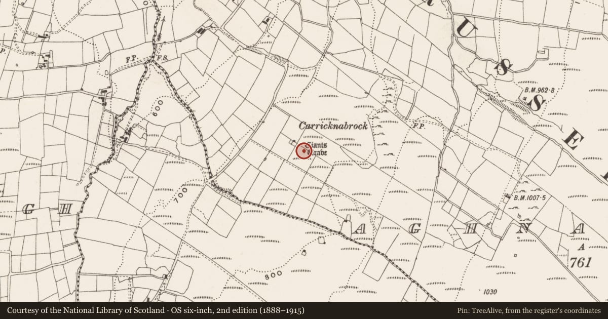 Ordnance Survey six-inch map, 2nd edition (1888–1915) covering the location of Megalithic tomb - wedge tomb, Aghnacally, County Cavan, with a pin at the register's coordinates