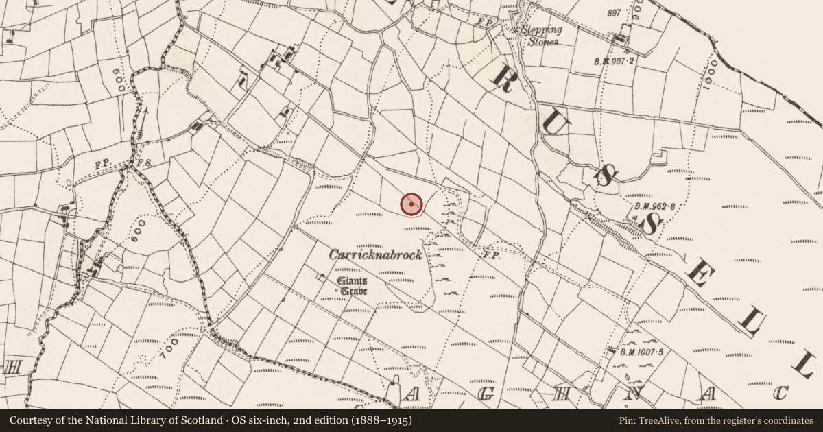 Ordnance Survey six-inch map, 2nd edition (1888–1915) covering the location of Kiln - lime, Aghnacally, County Cavan, with a pin at the register's coordinates