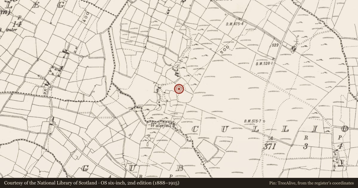 Ordnance Survey six-inch map, 2nd edition (1888–1915) covering the location of Ringfort - cashel, Cullion, County Cavan, with a pin at the register's coordinates