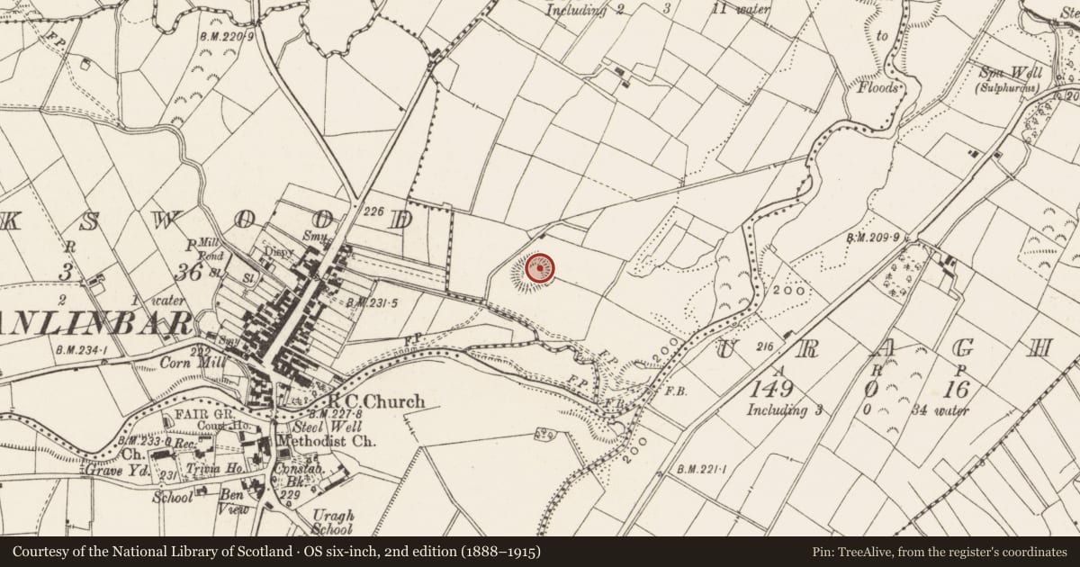 Ordnance Survey six-inch map, 2nd edition (1888–1915) covering the location of Ringfort - rath, Drumconra Or Lowforge, County Cavan, with a pin at the register's coordinates
