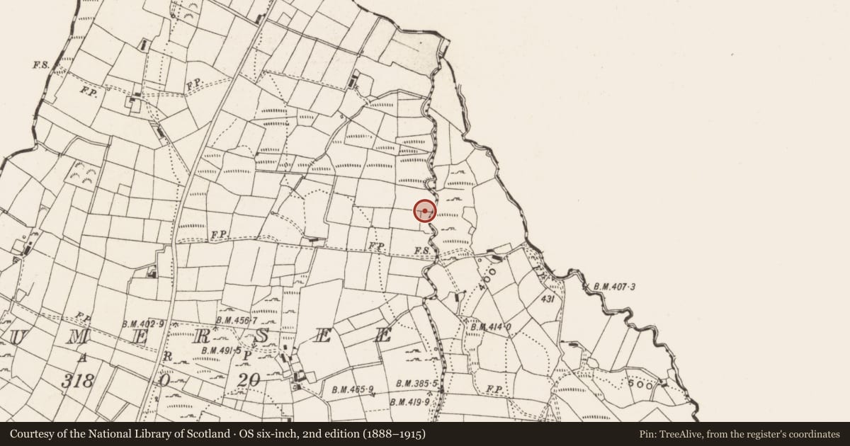 Ordnance Survey six-inch map, 2nd edition (1888–1915) covering the location of Kiln - corn-drying, Drumersee, County Cavan, with a pin at the register's coordinates