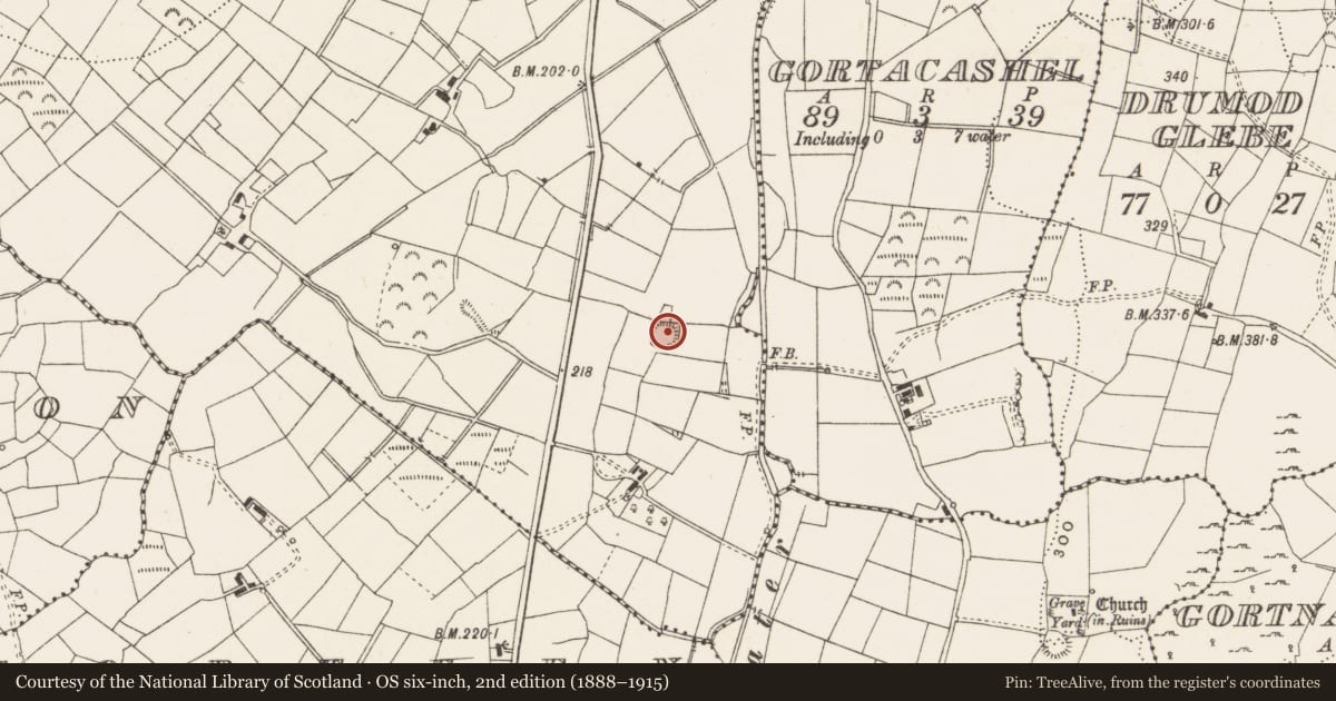 Ordnance Survey six-inch map, 2nd edition (1888–1915) covering the location of Ringfort - rath, Furnaceland, County Cavan, with a pin at the register's coordinates