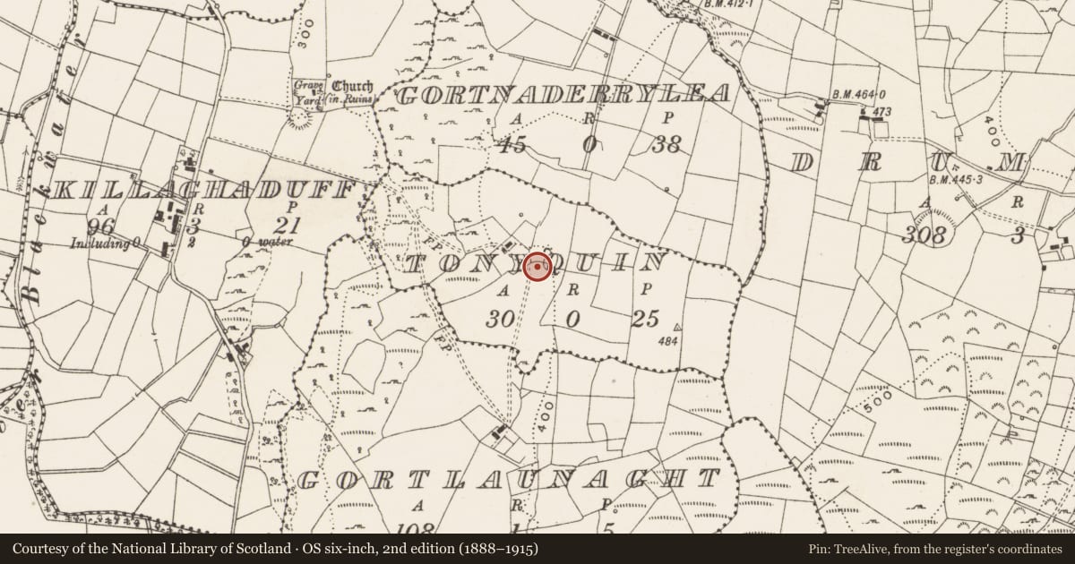 Ordnance Survey six-inch map, 2nd edition (1888–1915) covering the location of House - Bronze Age, Tonyquin, County Cavan, with a pin at the register's coordinates