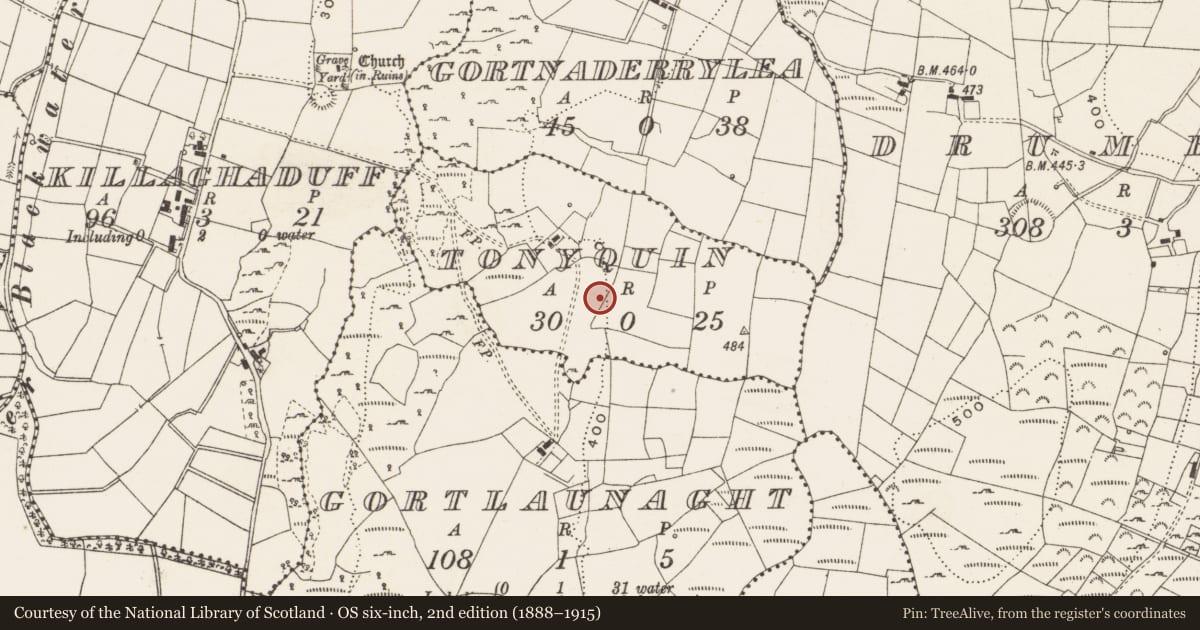 Ordnance Survey six-inch map, 2nd edition (1888–1915) covering the location of Structure, Tonyquin, County Cavan, with a pin at the register's coordinates