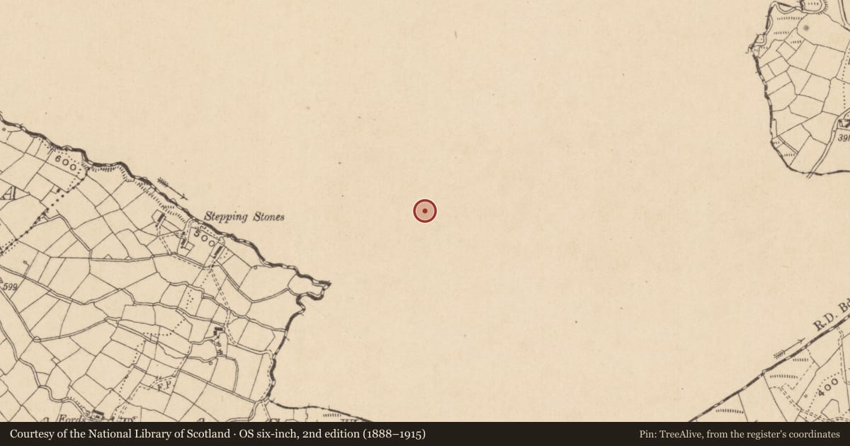 Ordnance Survey six-inch map, 2nd edition (1888–1915) covering the location of Ringfort - rath, Corraleehanbeg, County Cavan, with a pin at the register's coordinates